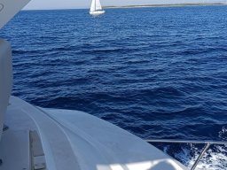 img-20261004-wa0014