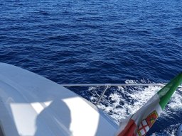 img-20261004-wa0015