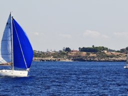 img_20261004_105215
