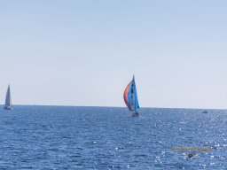 untitled-243