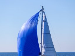 untitled-282