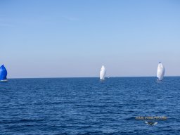 untitled-285