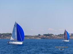 untitled-291