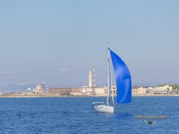 untitled-295